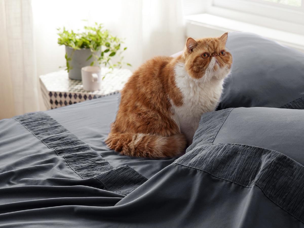 Bedsure 4 Pieces Bed Sheet Set 14 Inch Breathable & Cooling - Hotel Luxury - Easy Care Machine Washable Polyester Microfiber Bedding for Women, Men