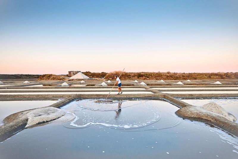 Sante Naturelle French Celtic Salt - 1.1lb Hand Harvested Mineral Salt, Grey Coarse & Fine Ground, Rich in Vitamins & Minerals, Versatile Cooking Seasoning Flavor Natural