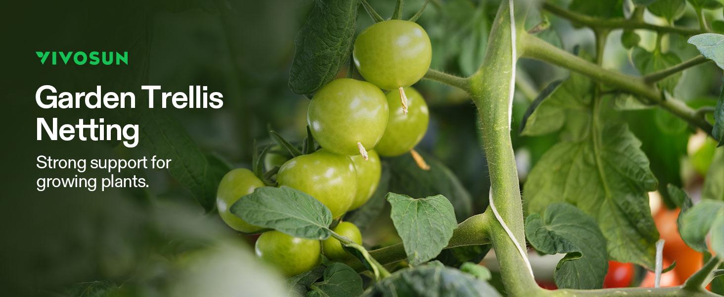 VIVOSUN Trellis Netting Heavy-duty Polyester,1 Pack