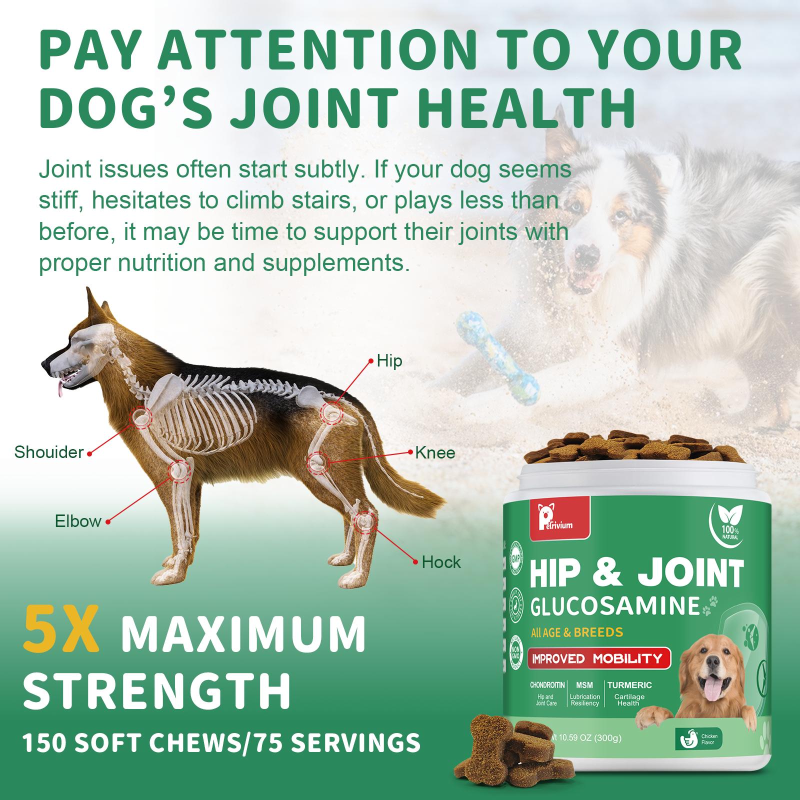 Hip & Joint Care Chews-Dog Joint Supplement for Mobility-Chicken Flavor,All Age&Breeds