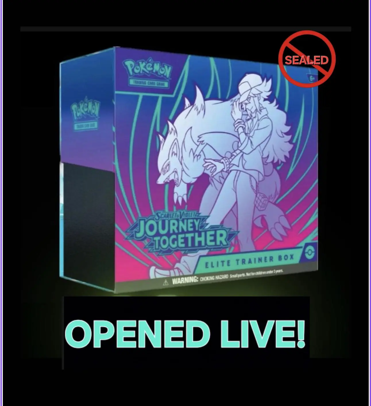 Journey Together Elite Trainer Box Pokemon