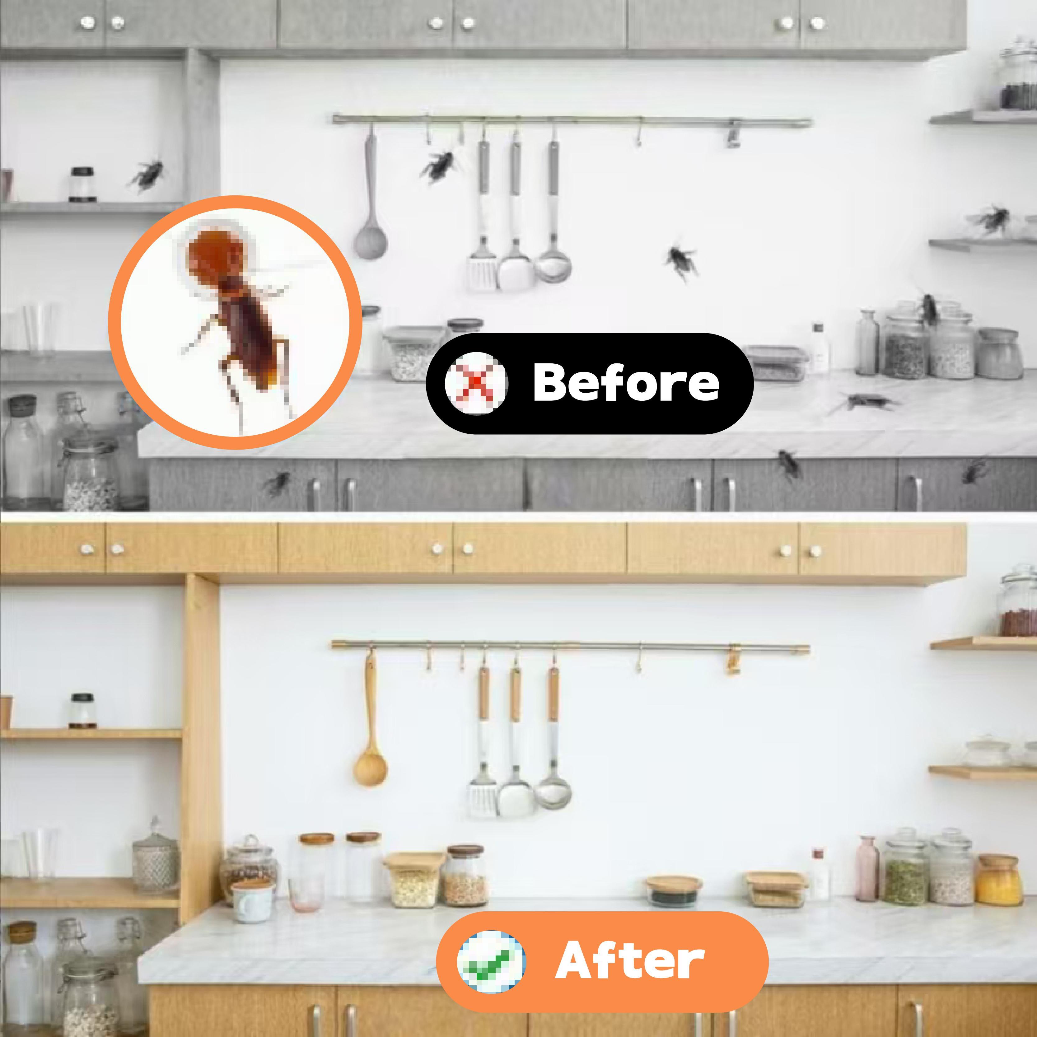 LENDOUYE: Indoor Pest Killing Products, Repellents, Indoor Traps, Insecticides, Bait Stations BD