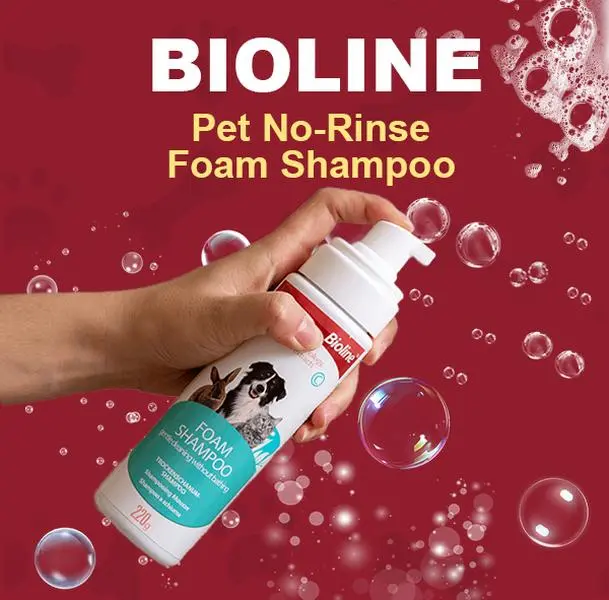 BIOLINE No-Rinse Waterless Foam Pet Shampoo for Cats & Dogs - Low Allergens, Natural Gentle Coat-Nurturing, Healthy Coats, 7.4oz Bottle, 3 Years Shelf Life, Single Item