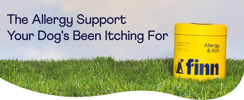 FINN Comfy Pup Bundle - Gut & Allergy Support for Dogs - 180 Soft Chews - Digestive Probiotics & Allergy Itch Chews - Vet Formulated NASC Certified