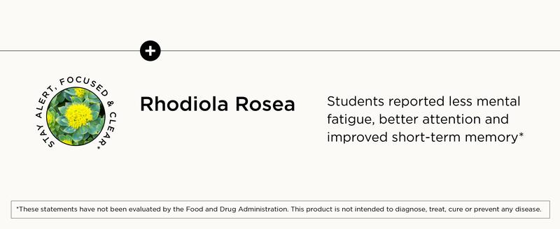 Brain Supplements for Memory & Focus | Nootropic with Bacopa Monnieri, Ginkgo Biloba & Rhodiola | Caffeine-Free Mental Clarity & Cognitive Support | 30 Capsules