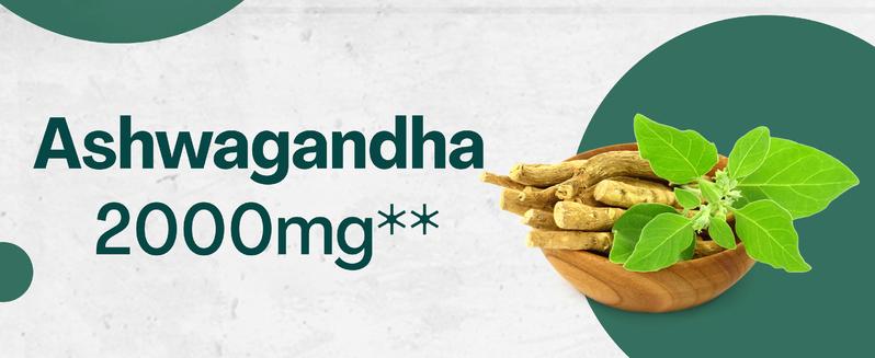 Zoyava Sea Moss Supplement - All-in-One Multivitamin with Black Seed Oil, Ashwagandha & 15+ Extra Strength Ingredients - 60 Capsules - MADE IN USA