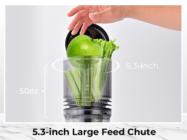SUSTEAS Cold Press Juicer, 5.3 Inch Large Feed Opening, Slow Masticator Chute, For Whole Vegetables and Fruits, High Yield, Easy to Clean Springtok Steel
