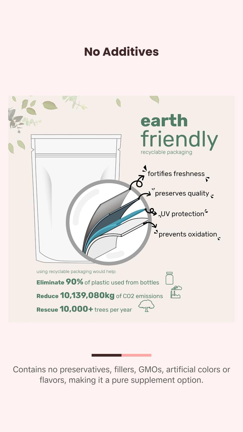 Micro Ingredients Organic Saw Palmetto Powder