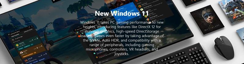 Custom Envision S13 Desktop