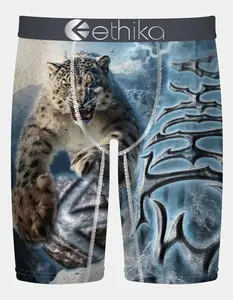 ETHIKA Jump Cat Mens Boxer Briefs
