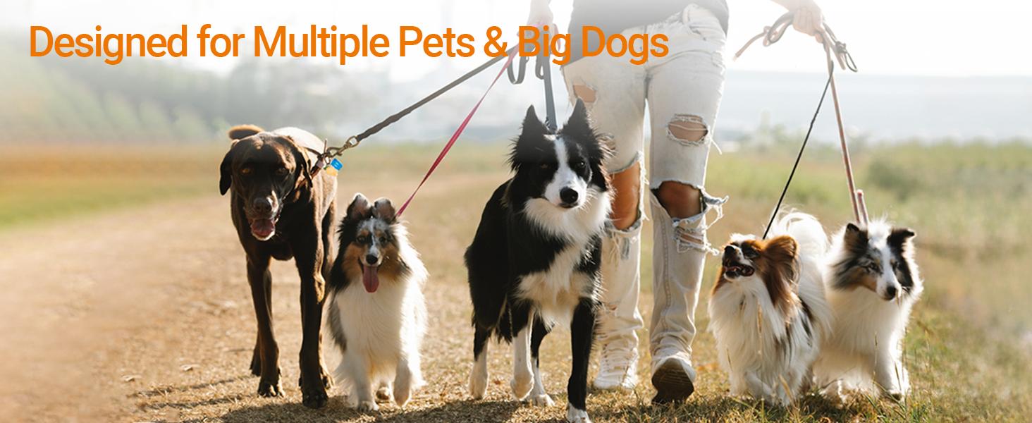 CKLT 66inch Tempered Spring Steel Scoop Heavy Duty Pooper Scooper Long Stainless Steel Handle Dog Pooper Scooper for Large Dogs Outdoor Pet Waste Removal Shovel