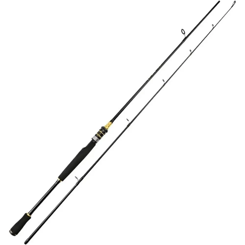 5.4ft Carbon Fiber Spinning Rod, Lightweight Fast Action Pole for Saltwater & Freshwater Use, Pairs with 2000-3000 Size Fishing Reel