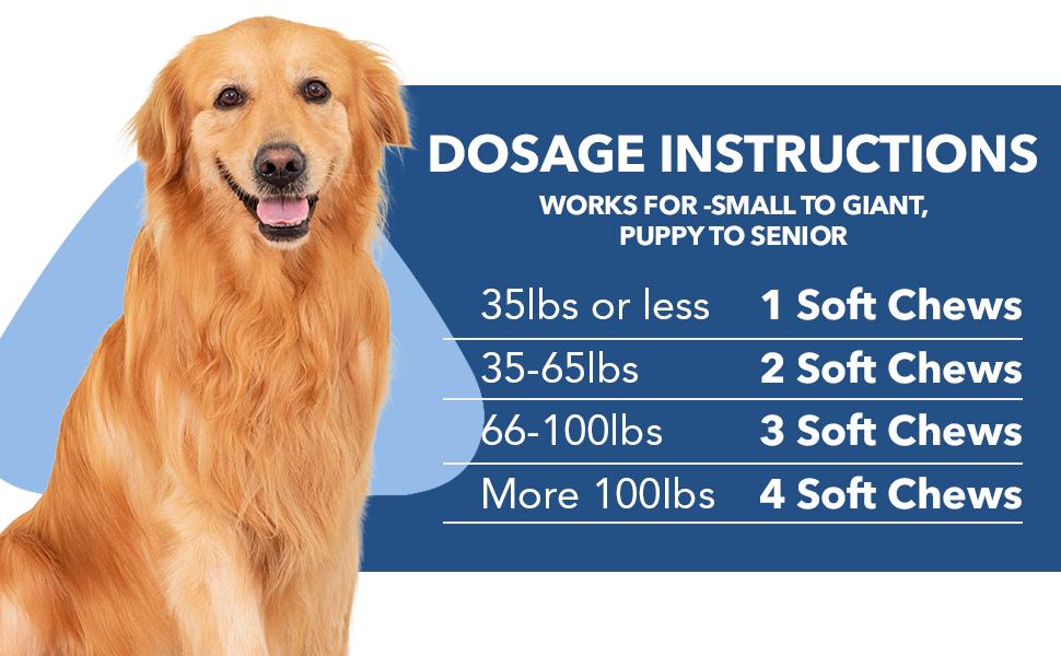 Probiotics for Dogs - Dogs Probiotics Chews with Enzymes & Fiber Blend Supports Gut Health, Boost Immune - Natural Probiotic Supplement for Digestive, Diarrhea, Gas, Constipation, Itchy Skin,120Ct