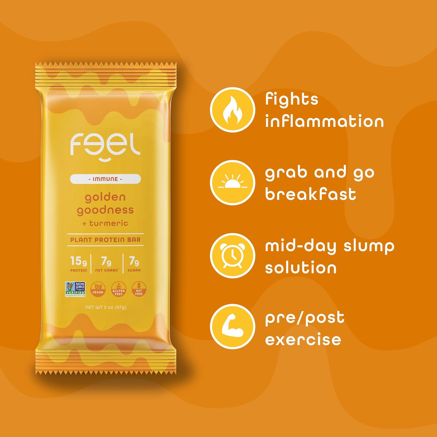 Feel Bars – Vegan Protein Bars | Golden Goodness – 10 Pack | 15g Plant Protein | Turmeric | Keto | Organic | Gluten Free, No Nuts, No Soy, No Dairy, No Grains