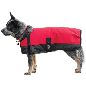 Schneiders Insulated Waterproof Reflective Dog Coat II