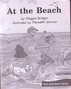 USED-AT THE BEACH (My Take-Home Book: Blue System, Book 47, Level G) 6 PAK by Maggie Bridger (Paperback)
