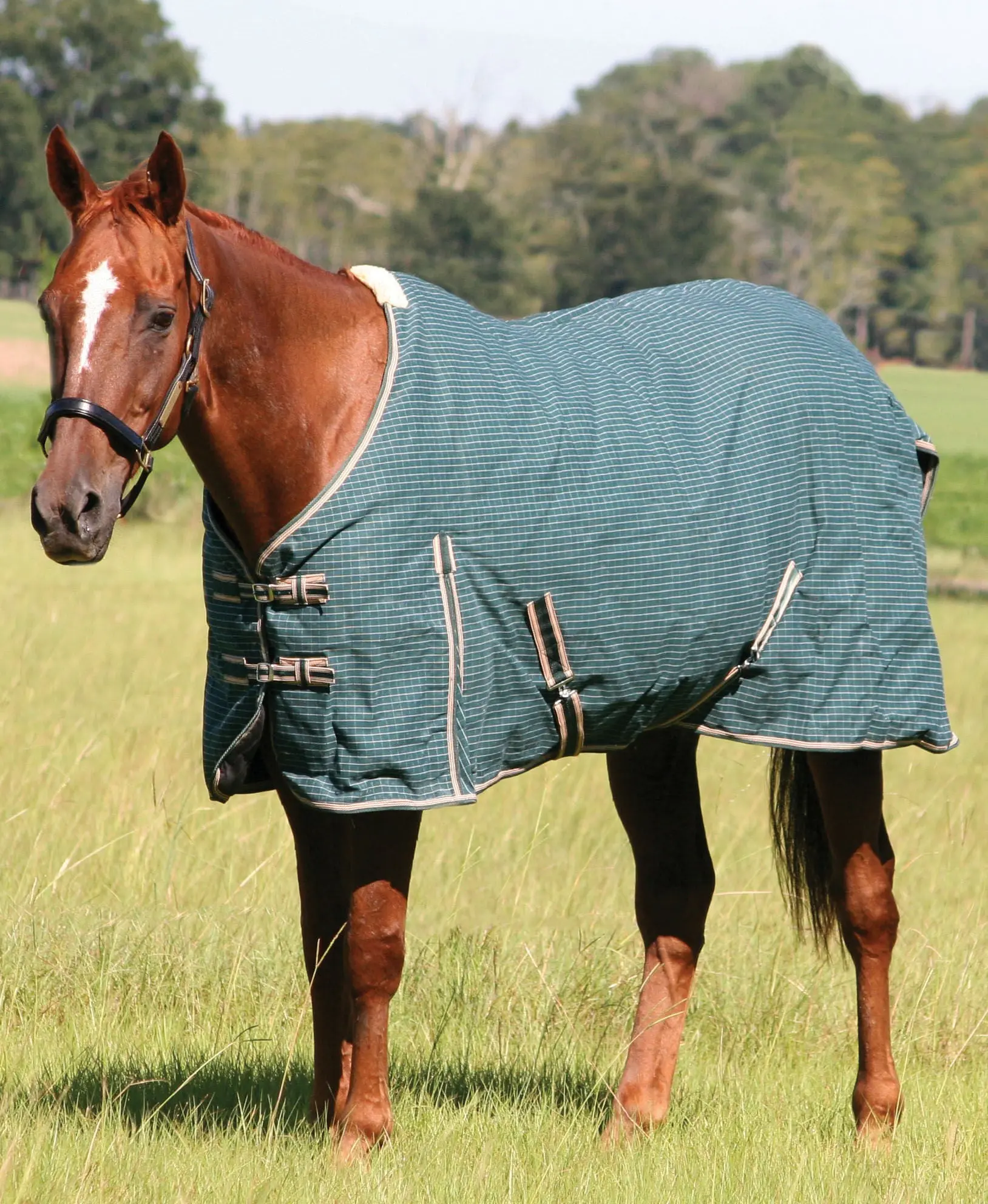 Jeffers Basic Canvas Blanket Jeffers Basic Canvas Blanket