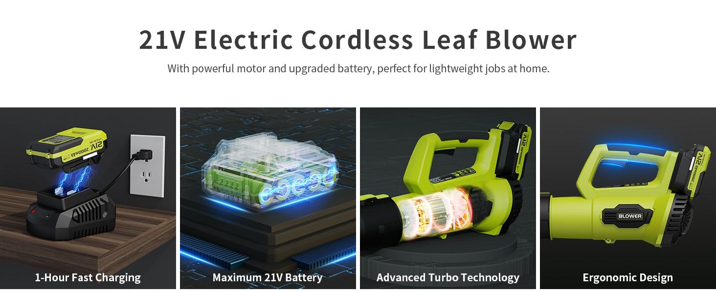 Cordless Leaf Blower LP69 21V Electric with 2 x 2.0Ah Batteries & Charger Lightweight Portable Garden Power Tool