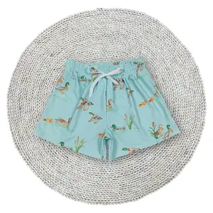 Baby Boys Light Green Mallard Ducks Pattern Quick Try Beach Board Summer Swim Trunks Swimwear Shorts Bottom