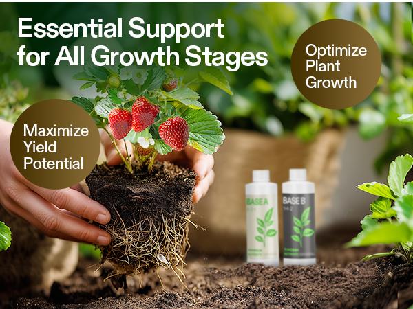 VIVOSUN Liquid Nutrients Base A & B Bundle, Grow Big Hydroponic Fertilizer, Supports Vegetative and Flowering Stages for Outdoor, Indoor Plants, Plant Food, Set of 8oz