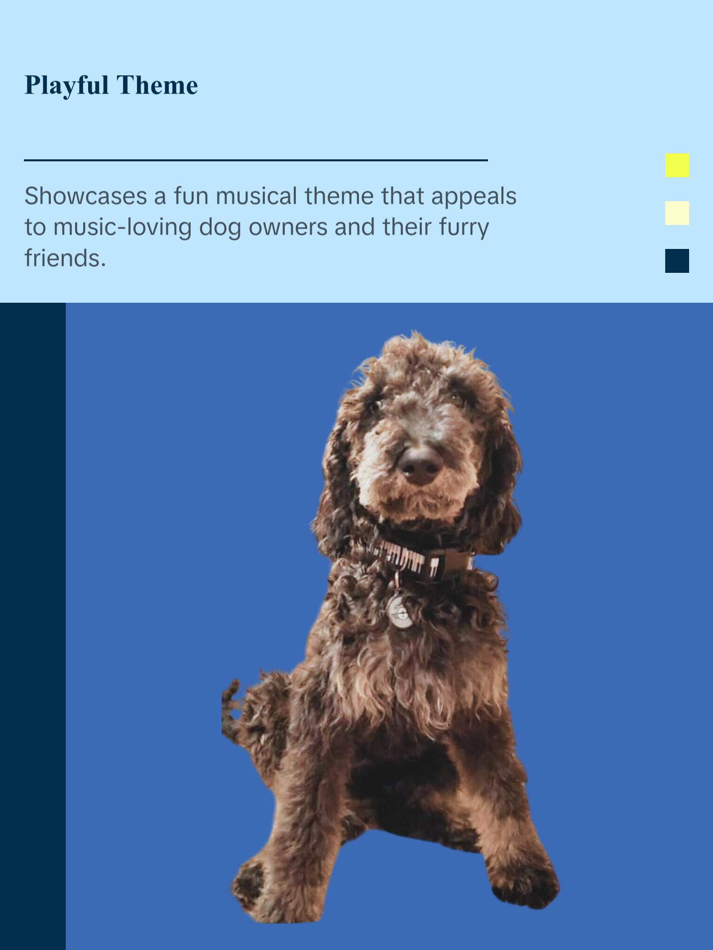 Piano Keys Dog Collar