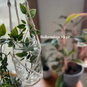 Bohemian Skye Macrame Plant Propagation with Recycled Jar Mother's Day Gift Idea Eco-Friendly Home Decor
