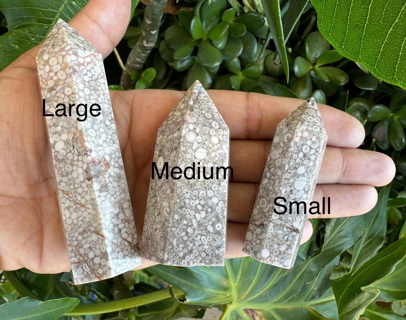 Fossilized Coral Jasper Towers from Urban Rutile