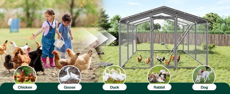 AMERLIFE Large Chicken Coop with Perch and Hinged Door, Spire/Dome Roof Walk-in Chicken Run with Metal Frame and PE Cover for Backyard Poultry, Ducks, RabbitsBest Gift Ideas/Christmas Gifts AMERLIFE Large Chicken Coop with Perch and Hinged Door, Spire/Dome Roof Walk-in Chicken Run with Metal Frame and PE Cover for Backyard Poultry, Ducks, RabbitsBest Gift Ideas/Christmas Gifts