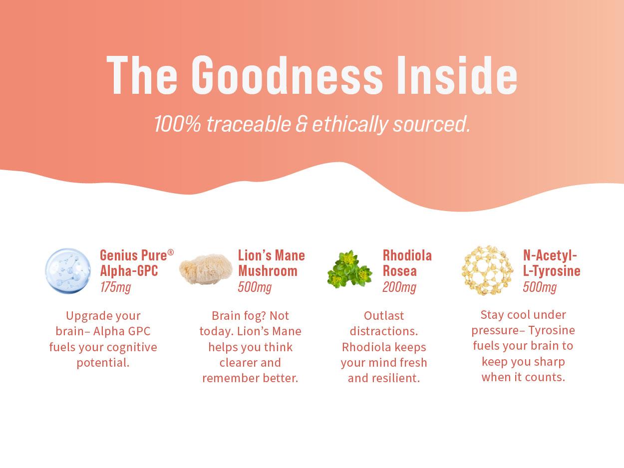 Nello Superfocus Travel Packets Bundle (2-Pack): Nootropic Drink Mix with Lion’s Mane, Rhodiola & Alpha-GPC – Supports Memory, Brain Health & Mental Stamina, Enhances Clarity & Sharpness, Helps Fight Brain Fog