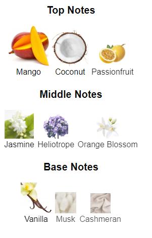 Fragrance Set Matcha Latte EDP 3.4FL.OZ | Yara Tous EDP 3.4FL.OZ | Berries Cream Macaron EDP 3.4FL.OZ | Vanilla Cream Macaron EDP 3.4FL.OZ | Her Confession Air Freshener 10.14FL.OZ | Odyssey Homme Deodorant 6.8FL.OZ