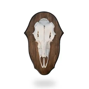 Black Forest - Natural Causes