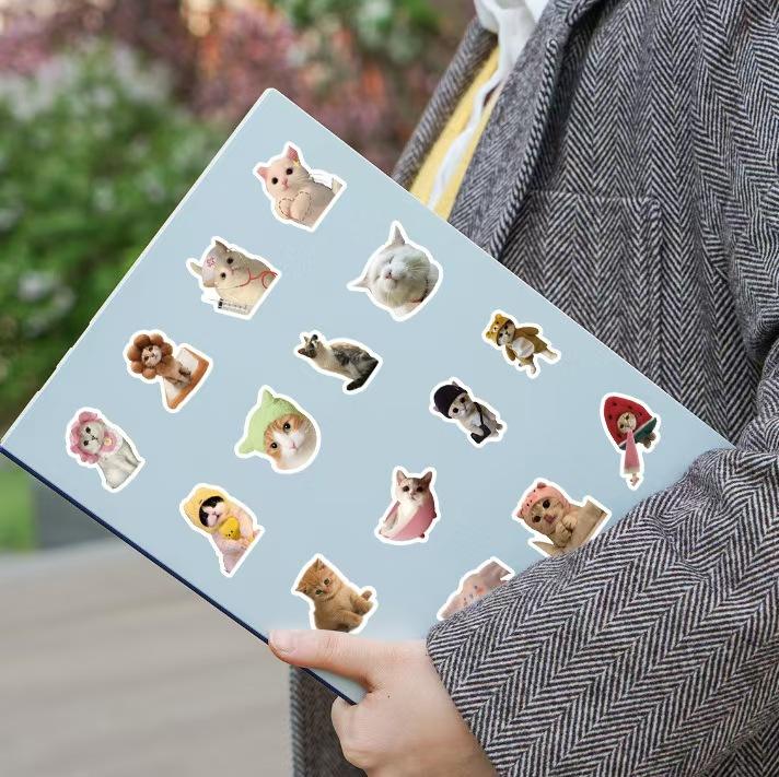 100 Pcs Funny Cat Stickers Cute Cat Meme Stickers for Adults Kitty Vinyl Waterproof Stickers for Water Bottles Laptops Phone Luggage Guitar