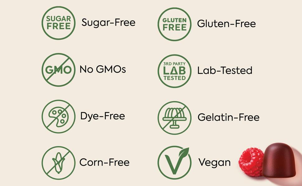 WonderDay Mushroom Gummies by Plant People - Zero Sugar, Functional Mushroom Gummy Supplement - 8+ Super Mushrooms - Organic Raspberry Flavor