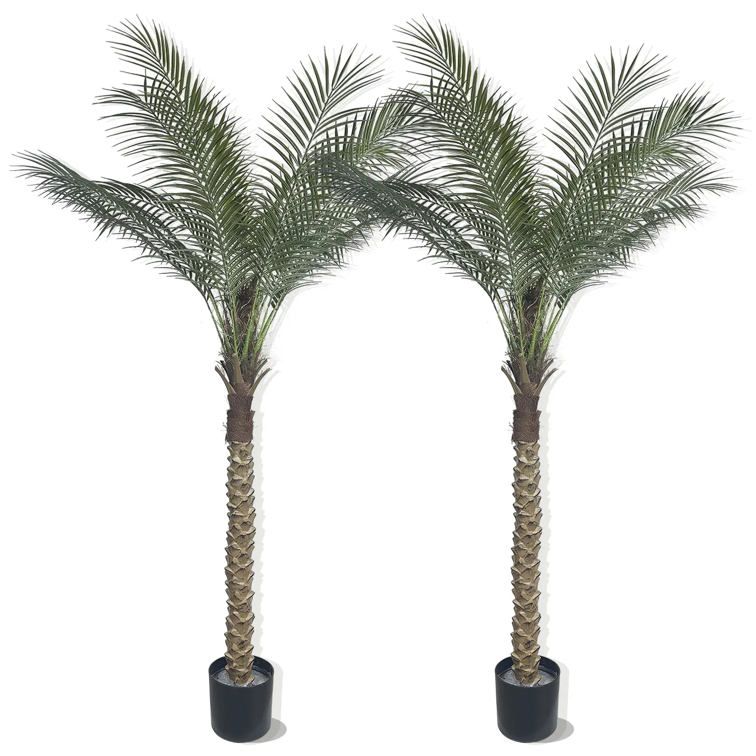 6ft Artificial Palm Tree, Realistic Fake Palm for Home decor, Tropical Home Decor(2 Pack) aesthetic outdoor decor