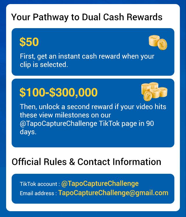 TP-Link & Tapo C216(2-pack) 2K Pan/Tilt Indoor/Outdoor Security Camera  with AI Detection, Baby Cry Detect, Motion Tracking, Color Night Vision, 360° Pan/Tilt, No Subscription, Alexa & Google Compatible