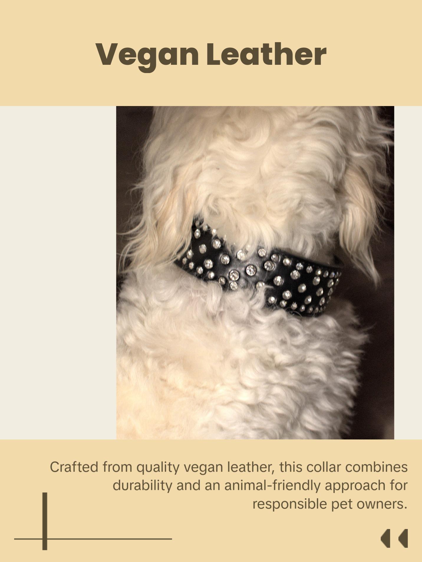 Black Bling Dog Collar