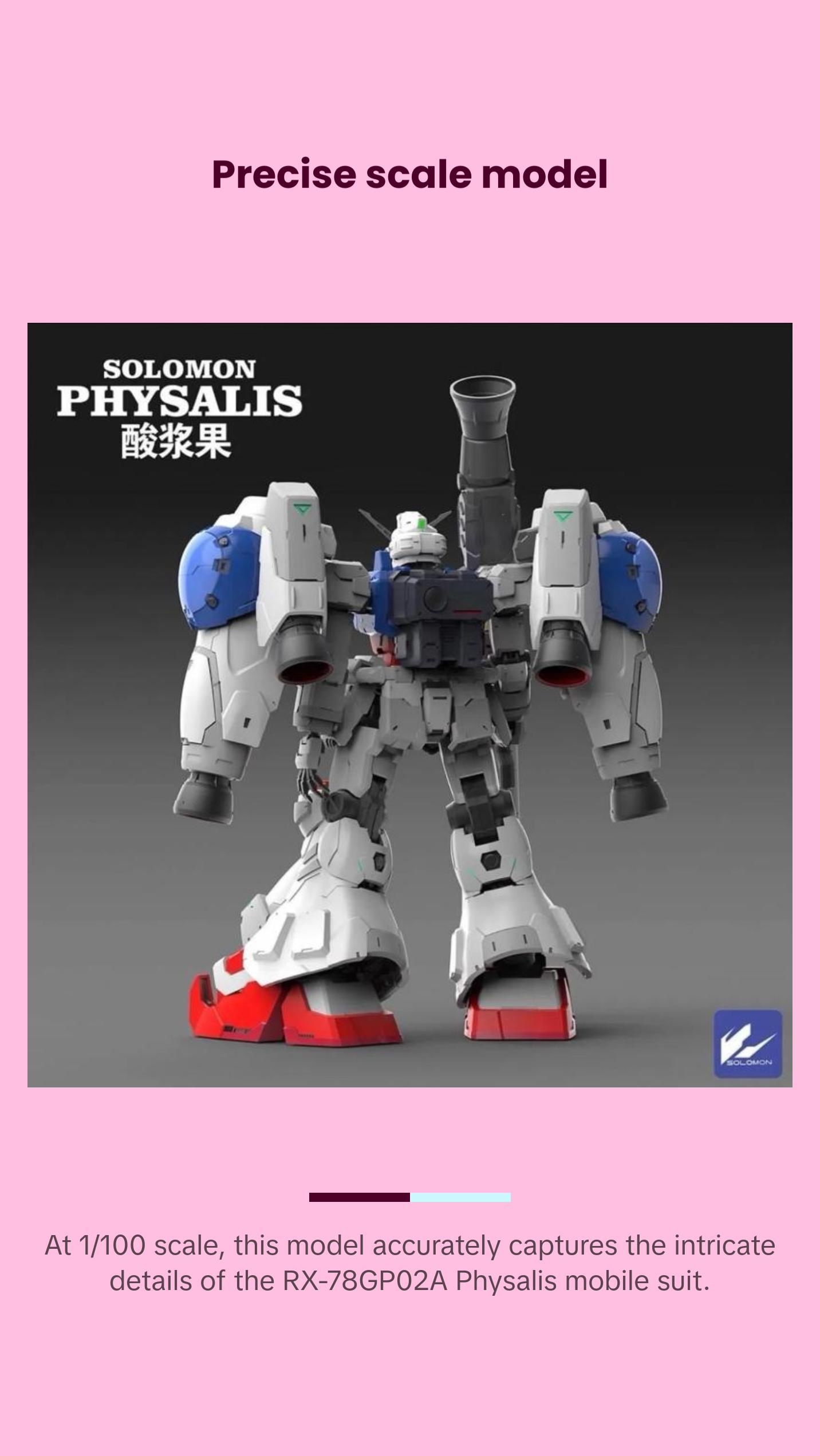 Solomon MG 1/100 Physalis GP02