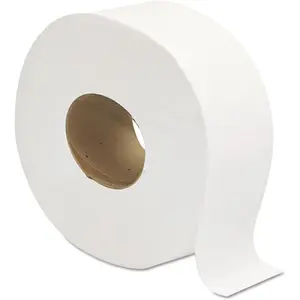 202 Jumbo JRT Bath Tissue, 2-Ply, White, 9 in Diameter, 12 Count (Pack of 1)