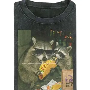 Youth & Adult Raccoon Eating Taco T-Shirt – Funny Meme Graphic Tee, Silly Animal Humor Shirt, Vintage Retro Unisex Top, Cute Raccoon Lover Gift