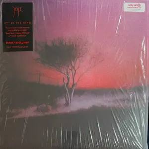 Joji - P*** In The Wind (Very Good Plus (VG+)) Electronic, Pop (LP, Album, Ltd, Bur)