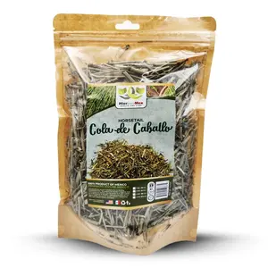Cola de Caballo Horsetail Herb Hierba Herbal Tea 4 oz.-113g Natural Mexican Herb Hierba Wild Crafted