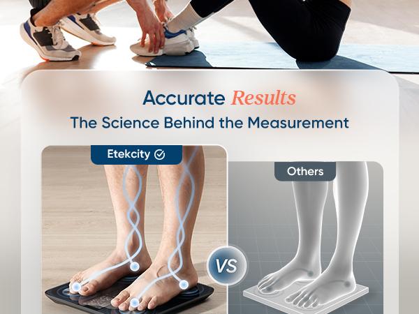 Etekcity Smart Body Weight Scale, High Accuracy with Large Display Bathroom Digital Weighing Scale with BMI, Body Fat, Muscle Mass Healthcare Fit, C651