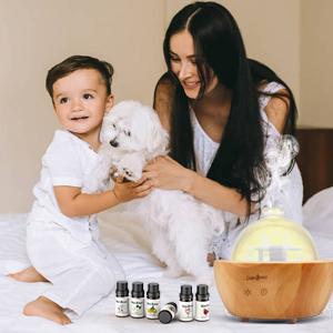 DAROMA Premium Essential Oil Set - 100% Pure and Natural Aromatherapy Oils, 6-Pack Gift Set, Exquisite Fruit Essential Oil Set, Flower Fruit Essential Oil Set and Mix Essential Oil Set, 6 of 10ml Bottles Healthcare Wellness DAROMA Premium Essential Oil Set - 100% Pure and Natural Aromatherapy Oils, 6-Pack Gift Set, Exquisite Fruit Essential Oil Set, Flower Fruit Essential Oil Set and Mix Essential Oil Set, 6 of 10ml Bottles Healthcare Wellness