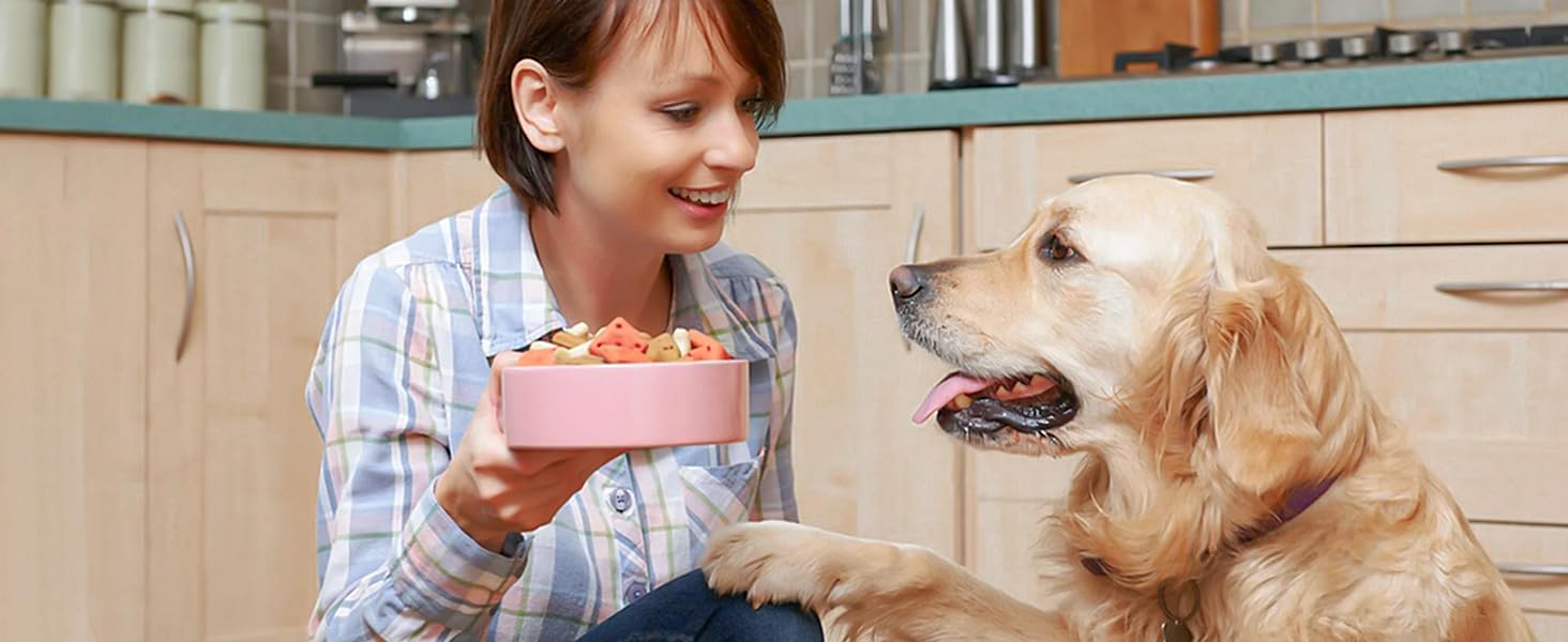 OSTBA Food Dehydrator, Dehydrator meats and Jerky, Fruits, Herbs, Veggies, Temperature Control Electric Food Dryer Machine, 5 BPA-Free Trays Dishwasher Safe, 240W, Recipe Book Included Kitchen Appliances,meats dehydrator