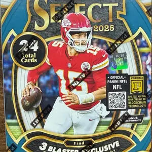 2025 Select Blaster Box! (Green & Yellow Shock Parallels! Zebra Hunt!)