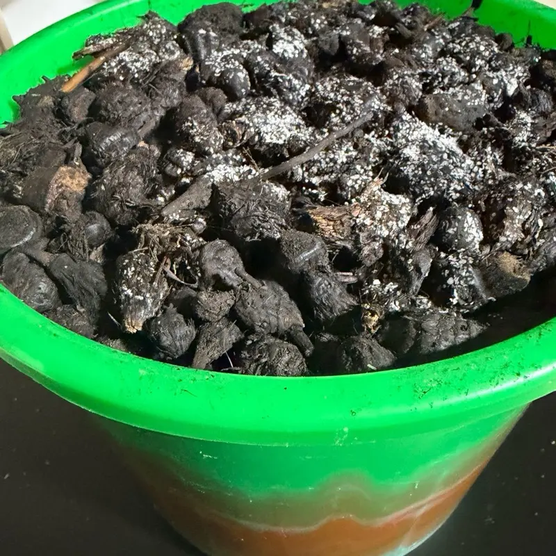 Gueni Seaux  African Incense/Woussoulan / Gowe- Great for cooking smell/ 3.5 kgs