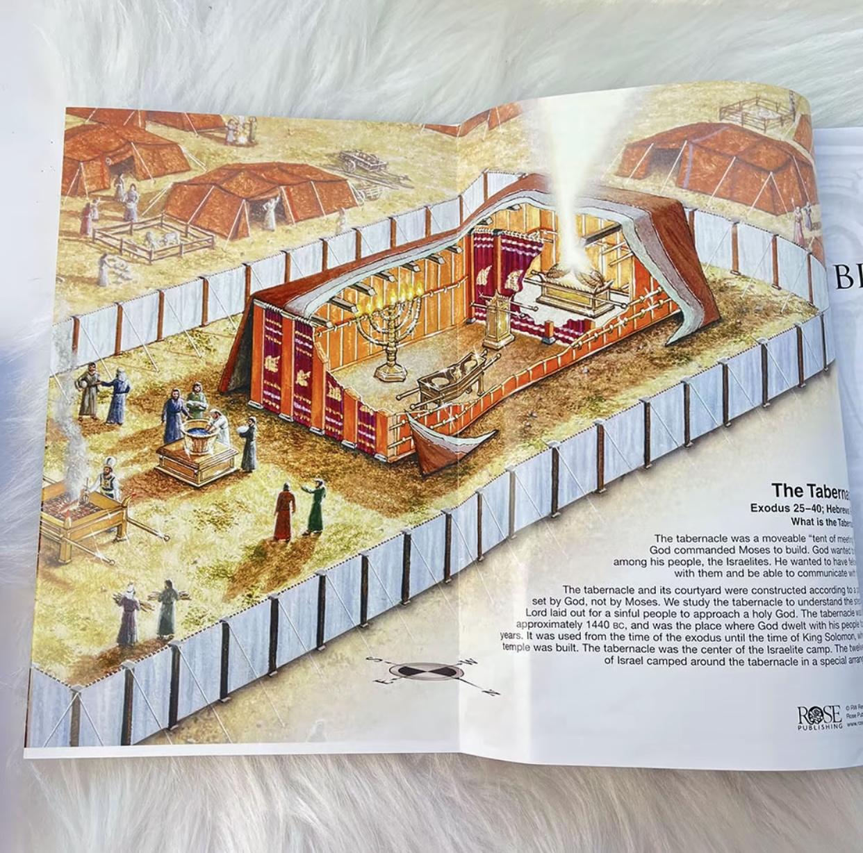 Rose Book of Bible Charts, Maps, and Time Lines -A4 Paperback English colorful new bible Religion & Philosophy