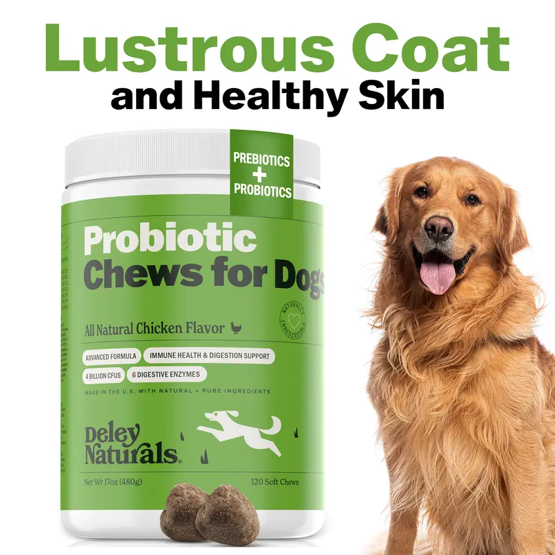 Deley Naturals Probiotic Chews for Dogs - All Natural Chicken Flavor, 120 Chews, 4 Billion CFUs, Supports Digestion & Immune Health, Grain-Free, Premium Quality Ingredients - Vitamin