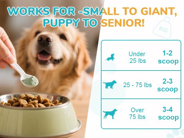 60 Servings Dog Teeth Cleaning Powder, Pet Dental Cleaning Powder for Dogs & Cats – Removes Tartar & Stains, Freshens Breath, Natural Oral Care Toothpaste Alternative,Plaque Tartar Remover with Postbiotic