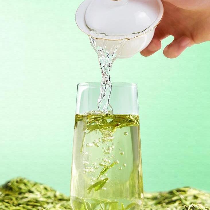 Tea Tips/Green Tea Single 8g 2024 New Tea Sample Pack